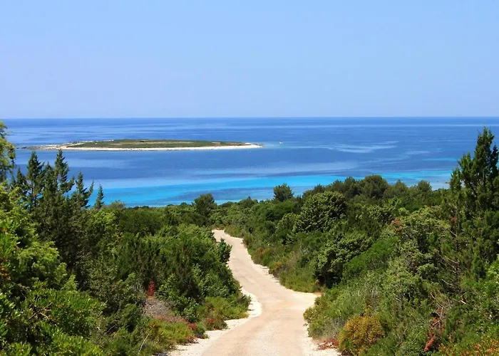 Διαμέρισμα By The Sea Savar, Dugi Otok - 8080